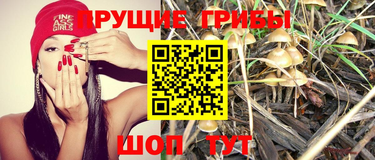 Галлюциногенные грибы MAGIC MUSHROOMS  Вход с VPN  Сибай 